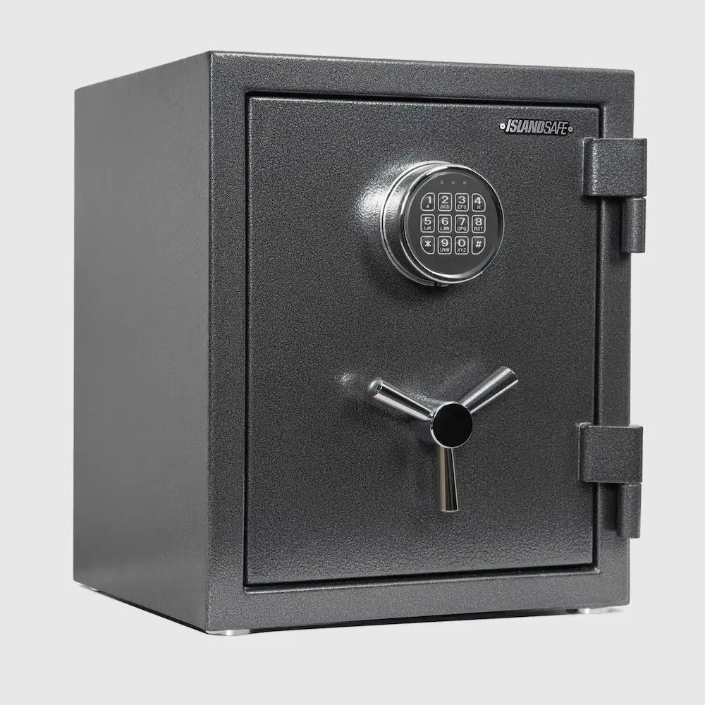 FireShield Medium Fire Protection Safe - Bro Dreams